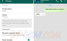 Menghilangkan Centang Biru WhatsApp Apa Untung Ruginya