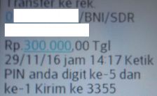 PIN mandiri sms