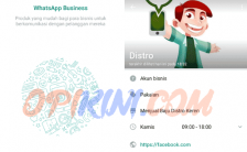 WhatsApp Business Cocok Buat Pemilik Toko Online?