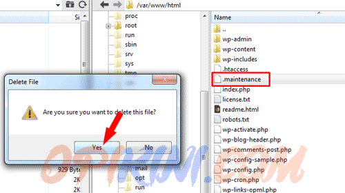 VPS Error Briefly Unavailable for Scheduled Maintenance sesudah update plugin atau theme w √ VPS Error Briefly Unavailable for Scheduled Maintenance, Begini Mengatasinya
