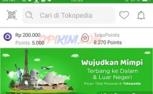 Cara Bayar Tokopedia Pakai OVO Cash dan OVO Points