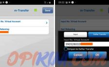 input No. Virtual Account