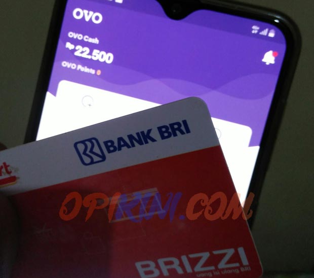 Top Up BRIZZI Via OVO Cara dan Resikonya