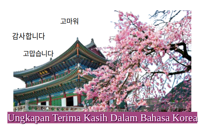 Ucapan Terima Kasih dalam Bahasa Korea dan Artinya