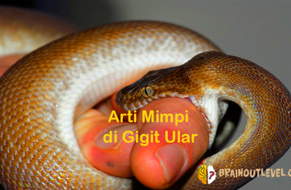 Arti mimpi digigit ular besar