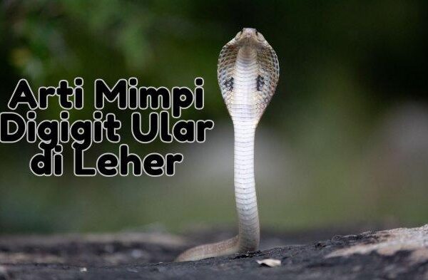 Arti mimpi digigit ular di leher