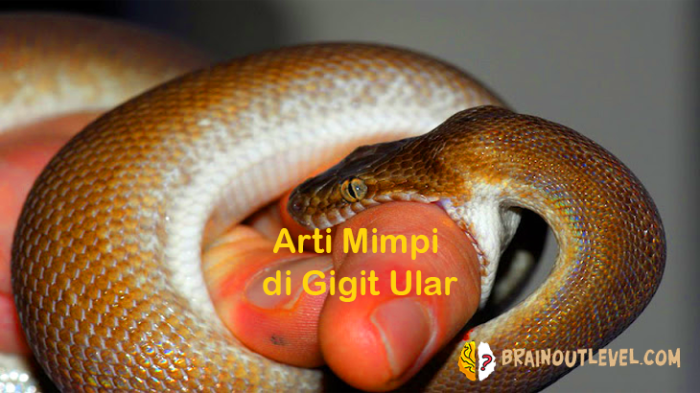 Arti mimpi di gigit ular