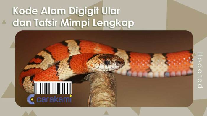 Arti dari mimpi digigit ular