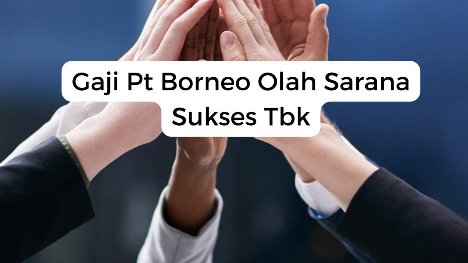 Gaji Pt Borneo Olah Sarana Sukses Tbk