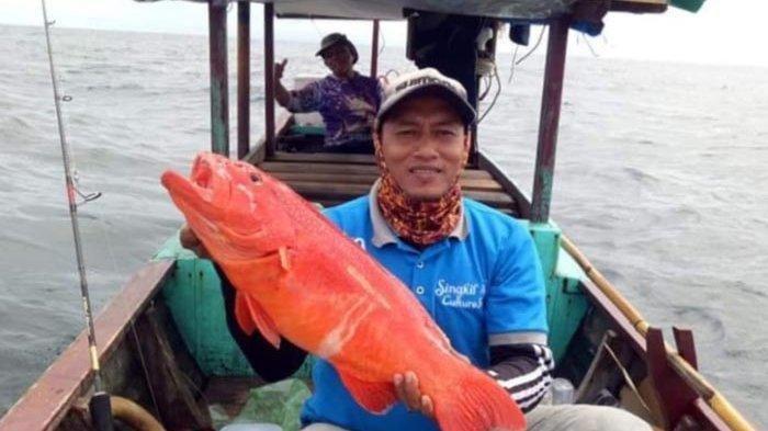 Arti mimpi dapat ikan