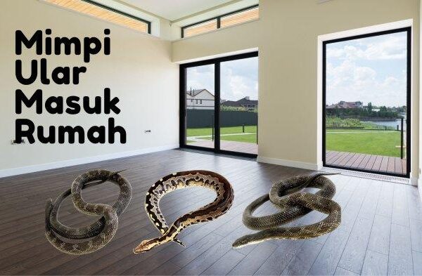 Arti mimpi mengusir ular dari rumah