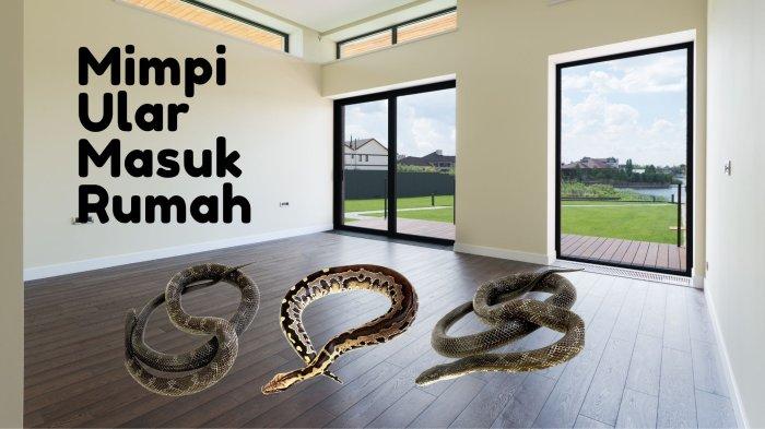 Arti mimpi mengusir ular dari rumah