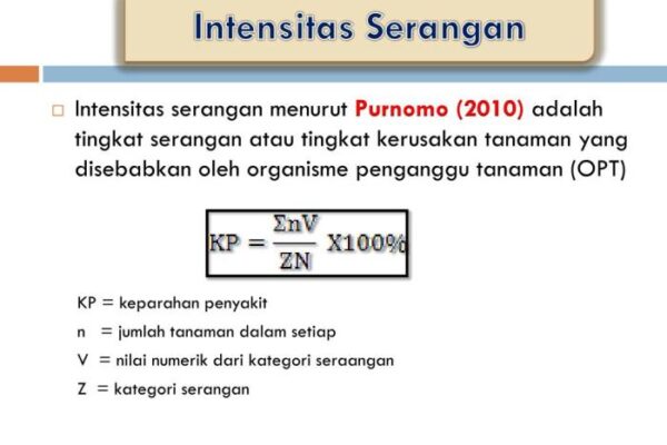 Cara menghitung intensitas serangan hama