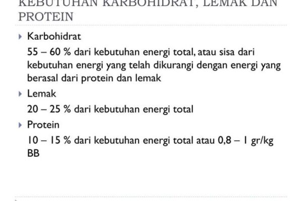 Cara menghitung kebutuhan energi karbohidrat protein lemak