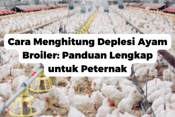 Cara Menghitung Deplesi Ayam Broiler: Panduan Lengkap untuk Peternak