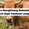 Cara Menghitung Kebutuhan Pakan Sapi: Panduan Lengkap