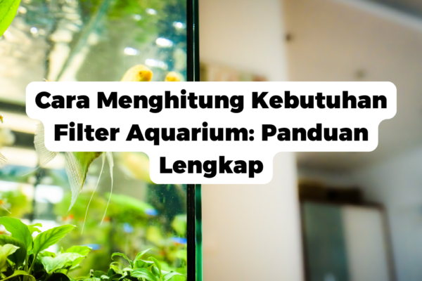 Cara Menghitung Kebutuhan Filter Aquarium: Panduan Lengkap