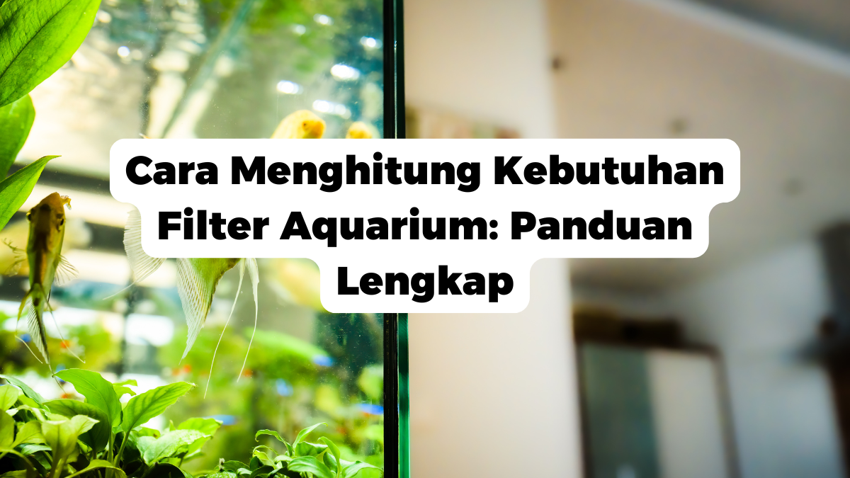 Cara Menghitung Kebutuhan Filter Aquarium: Panduan Lengkap