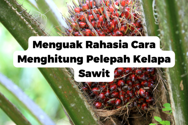 Menguak Rahasia Cara Menghitung Pelepah Kelapa Sawit