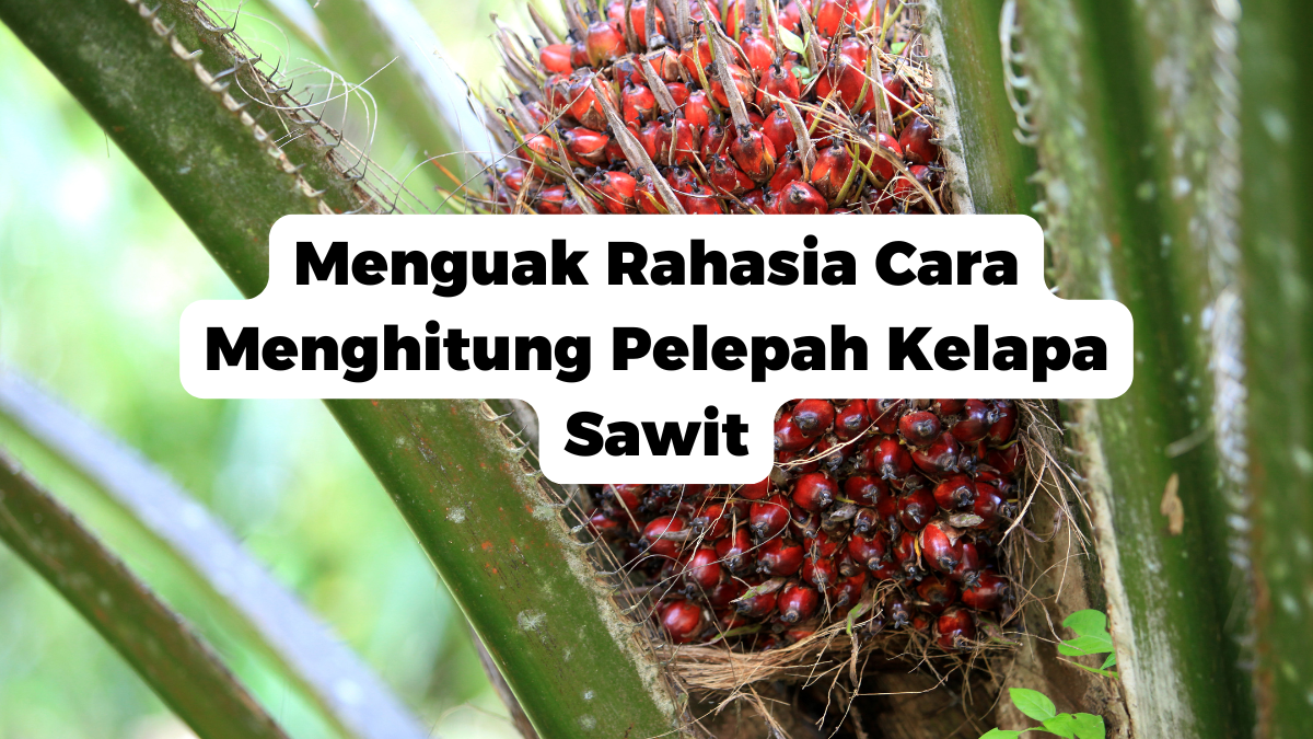 Menguak Rahasia Cara Menghitung Pelepah Kelapa Sawit