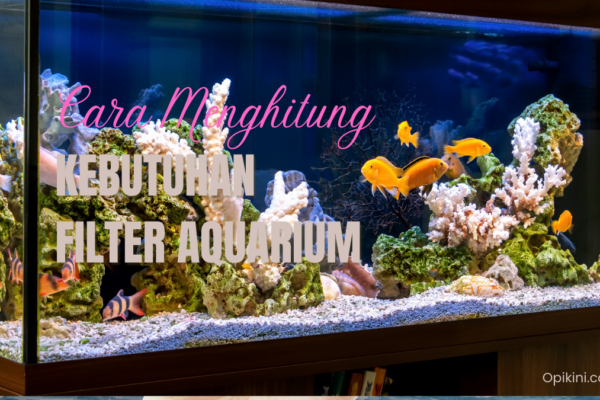 Cara Menghitung Kebutuhan Filter Aquarium